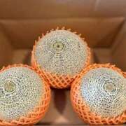 ヒメ日記 2025/06/13 12:14 投稿 立花 人妻風俗チャンネル