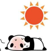 ヒメ日記 2025/06/22 12:51 投稿 立花 人妻風俗チャンネル