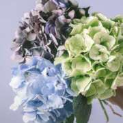 ヒメ日記 2025/06/30 08:53 投稿 立花 人妻風俗チャンネル