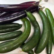 ヒメ日記 2025/07/08 08:58 投稿 立花 人妻風俗チャンネル