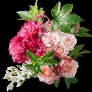 ヒメ日記 2025/08/02 21:45 投稿 立花 人妻風俗チャンネル