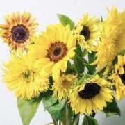 ヒメ日記 2025/08/18 08:50 投稿 立花 人妻風俗チャンネル