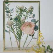 ヒメ日記 2025/09/08 08:44 投稿 立花 人妻風俗チャンネル