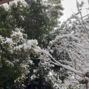 ヒメ日記 2026/02/09 11:53 投稿 立花 人妻風俗チャンネル