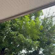 立花 外に出たら 人妻風俗チャンネル