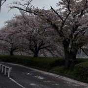 ヒメ日記 2026/04/07 09:14 投稿 立花 人妻風俗チャンネル