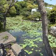 ヒメ日記 2026/06/01 09:06 投稿 立花 人妻風俗チャンネル