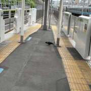 ヒメ日記 2026/07/07 09:12 投稿 立花 人妻風俗チャンネル