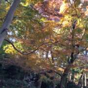 ヒメ日記 2024/12/15 15:33 投稿 山本 人妻風俗チャンネル