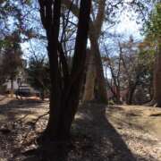 ヒメ日記 2025/01/27 09:21 投稿 山本 人妻風俗チャンネル