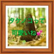 ヒメ日記 2025/03/07 09:28 投稿 山本 人妻風俗チャンネル