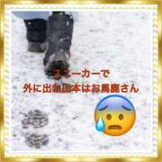 ヒメ日記 2025/03/19 18:14 投稿 山本 人妻風俗チャンネル