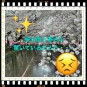 ヒメ日記 2025/03/29 08:35 投稿 山本 人妻風俗チャンネル