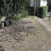 ヒメ日記 2025/03/31 09:35 投稿 山本 人妻風俗チャンネル