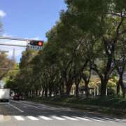 ヒメ日記 2025/04/03 12:41 投稿 山本 人妻風俗チャンネル