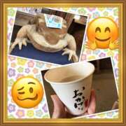 ヒメ日記 2025/04/03 18:25 投稿 山本 人妻風俗チャンネル