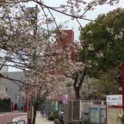 ヒメ日記 2025/04/10 11:58 投稿 山本 人妻風俗チャンネル