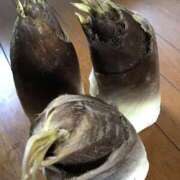 ヒメ日記 2025/04/20 14:38 投稿 山本 人妻風俗チャンネル