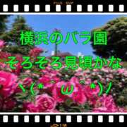 ヒメ日記 2025/05/03 12:26 投稿 山本 人妻風俗チャンネル