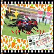 ヒメ日記 2025/05/25 16:58 投稿 山本 人妻風俗チャンネル