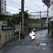 ヒメ日記 2025/05/31 12:43 投稿 山本 人妻風俗チャンネル