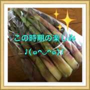 ヒメ日記 2025/06/15 12:55 投稿 山本 人妻風俗チャンネル