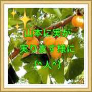 ヒメ日記 2025/06/23 10:46 投稿 山本 人妻風俗チャンネル