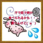 ヒメ日記 2025/06/29 13:44 投稿 山本 人妻風俗チャンネル