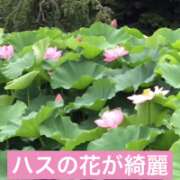 山本 曇り空ですが・・・ 人妻風俗チャンネル
