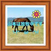 ヒメ日記 2025/07/29 08:47 投稿 山本 人妻風俗チャンネル