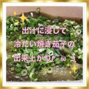 ヒメ日記 2025/08/06 19:19 投稿 山本 人妻風俗チャンネル