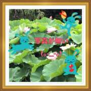 ヒメ日記 2025/08/09 08:56 投稿 山本 人妻風俗チャンネル