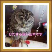 ヒメ日記 2025/08/12 10:52 投稿 山本 人妻風俗チャンネル