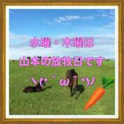 ヒメ日記 2025/08/13 10:17 投稿 山本 人妻風俗チャンネル