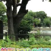 ヒメ日記 2025/08/13 14:20 投稿 山本 人妻風俗チャンネル
