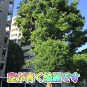 ヒメ日記 2025/08/17 17:31 投稿 山本 人妻風俗チャンネル