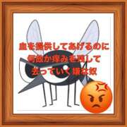 ヒメ日記 2025/08/30 08:11 投稿 山本 人妻風俗チャンネル