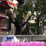 ヒメ日記 2025/09/08 11:33 投稿 山本 人妻風俗チャンネル