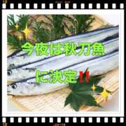 ヒメ日記 2025/09/14 16:22 投稿 山本 人妻風俗チャンネル