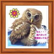 ヒメ日記 2025/09/15 20:53 投稿 山本 人妻風俗チャンネル