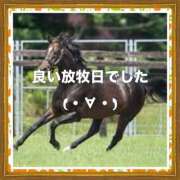 ヒメ日記 2025/09/17 22:32 投稿 山本 人妻風俗チャンネル