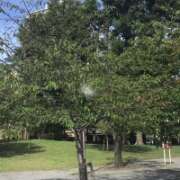 ヒメ日記 2025/09/22 16:00 投稿 山本 人妻風俗チャンネル