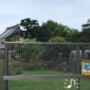 ヒメ日記 2025/09/22 18:00 投稿 山本 人妻風俗チャンネル