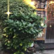 ヒメ日記 2025/09/23 19:09 投稿 山本 人妻風俗チャンネル