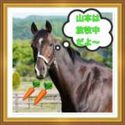 ヒメ日記 2025/09/24 10:33 投稿 山本 人妻風俗チャンネル