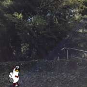 ヒメ日記 2025/09/24 13:40 投稿 山本 人妻風俗チャンネル