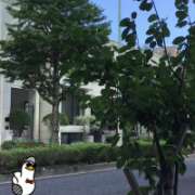 ヒメ日記 2025/09/24 19:00 投稿 山本 人妻風俗チャンネル