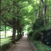 ヒメ日記 2025/09/24 21:25 投稿 山本 人妻風俗チャンネル