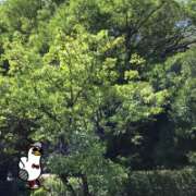 ヒメ日記 2025/09/25 15:40 投稿 山本 人妻風俗チャンネル