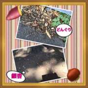 ヒメ日記 2025/09/26 22:44 投稿 山本 人妻風俗チャンネル